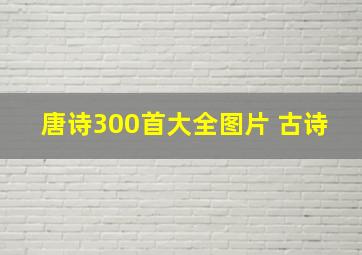 唐诗300首大全图片 古诗